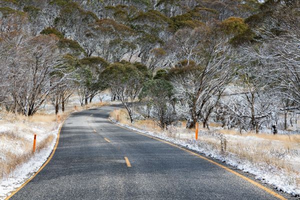 winter