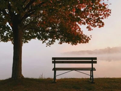 Autumn Wellness Reset